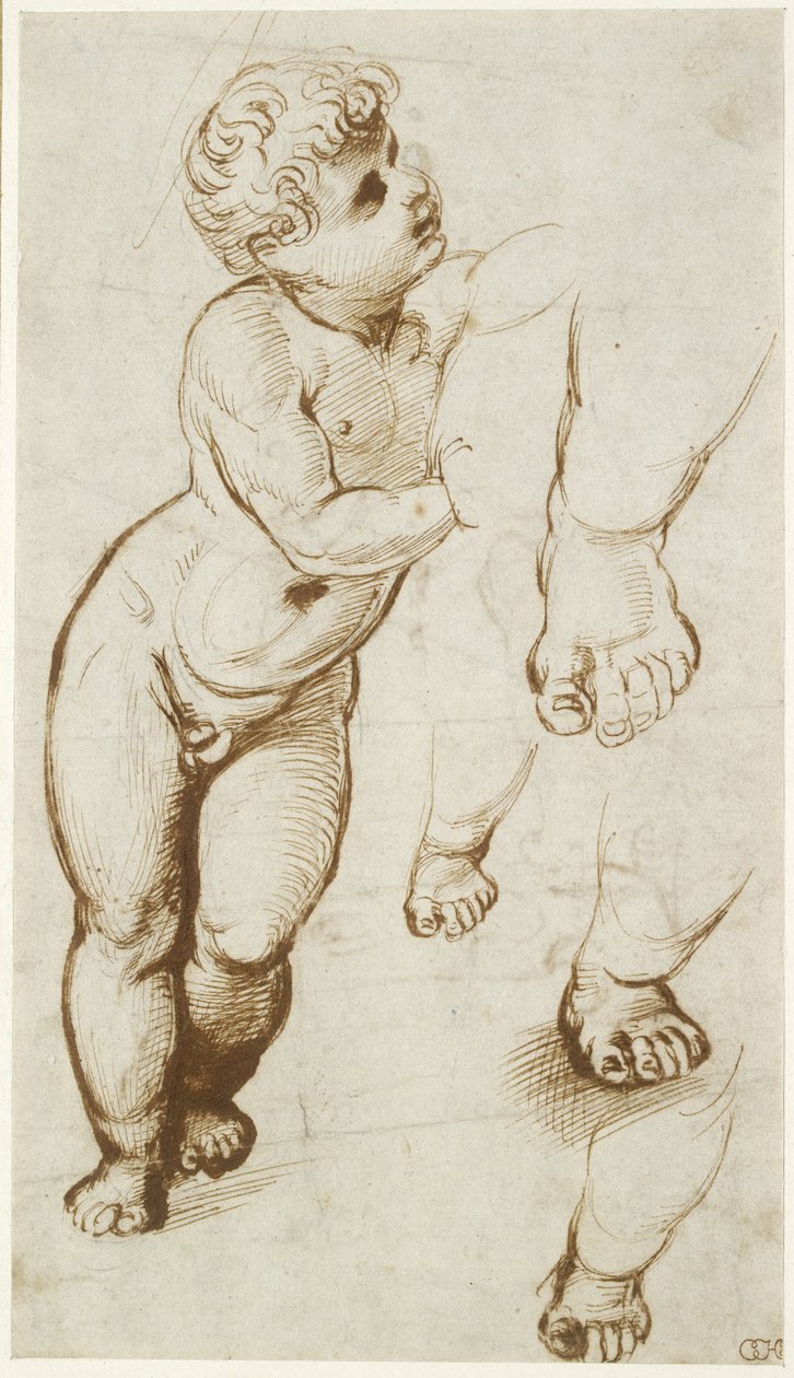 Recto: The Infant Christ and other Studies, WA1855.91 af Raffaello Sanzio Raphael