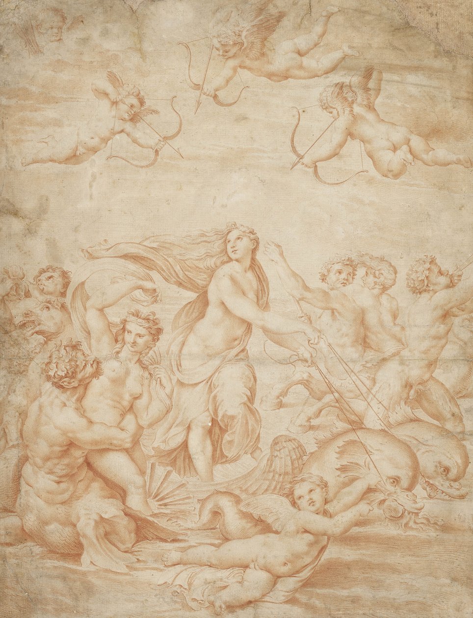 The Triumph of Galatea (rødt kridt på blegt brunt papir) af Raffaello Sanzio Raphael