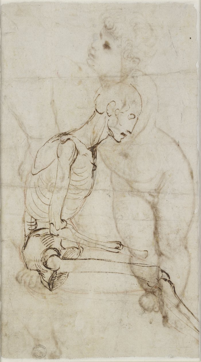 Verso: Study of a Skeleton, WA1855.91 af Raffaello Sanzio Raphael