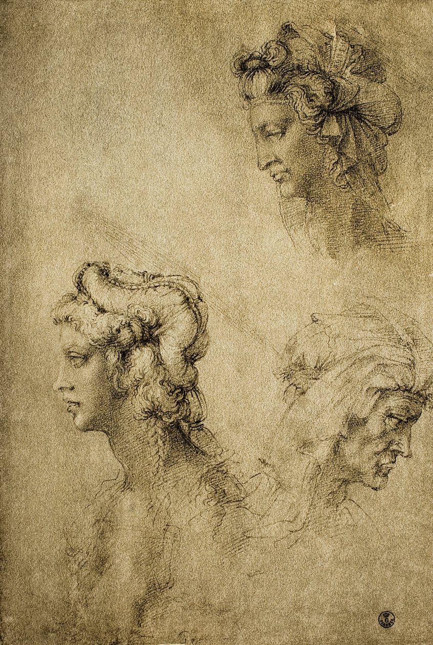 Studie af kvindelige hoveder, tegning af Raphael; Kabinet for tegninger og tryk, Uffizi Gallery, Firenze af Raffaello Sanzio Raphael