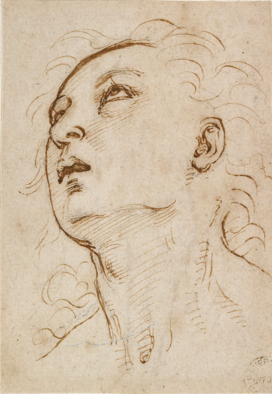 Hovedet af en ung mand, der stirrer opad, c1497-c1504 af Raphael