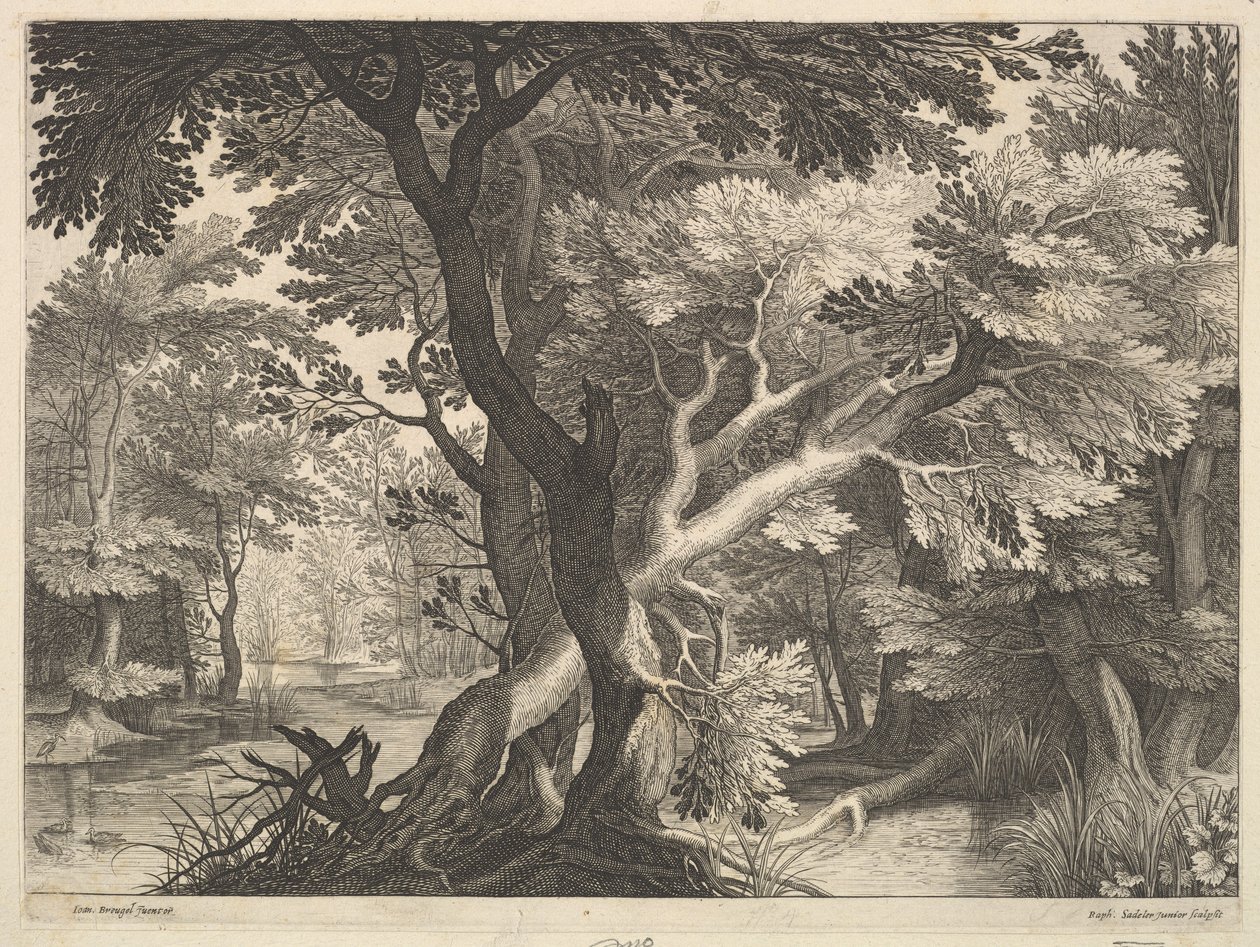 Skovklædt landskab. af Raphael Sadeler