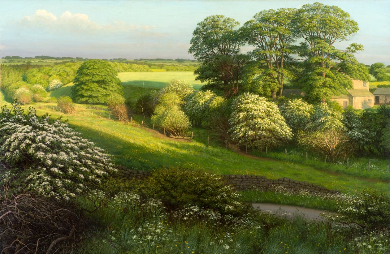 Landskab af Raymond Booth