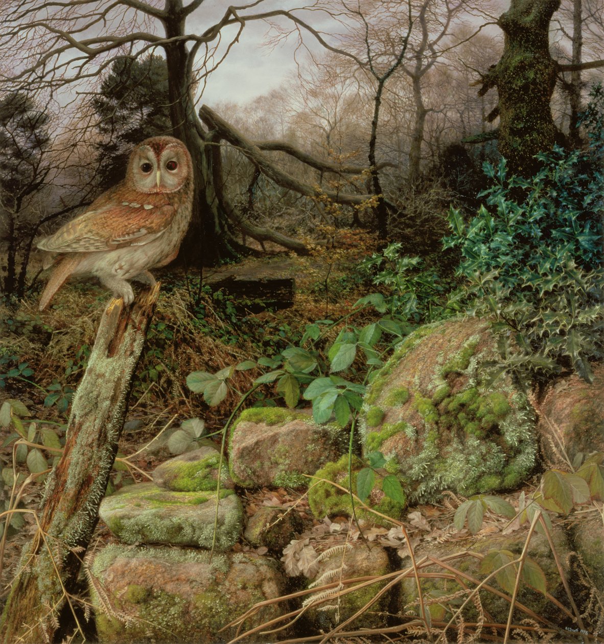 Den vilde skov - en vinteraften af Raymond Booth