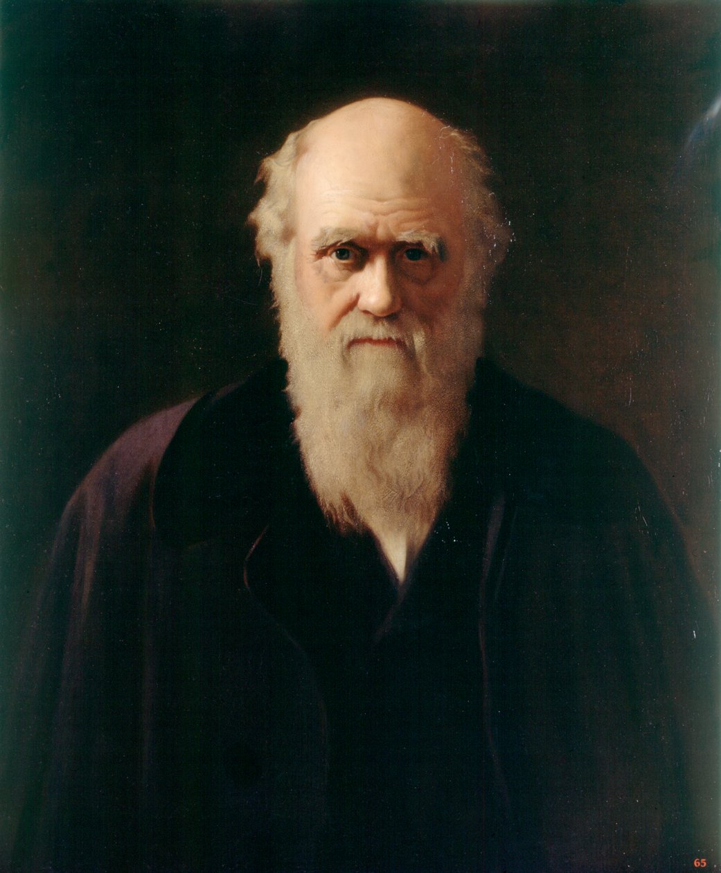 Charles Darwin (olie om bord) af Reilly Reilly