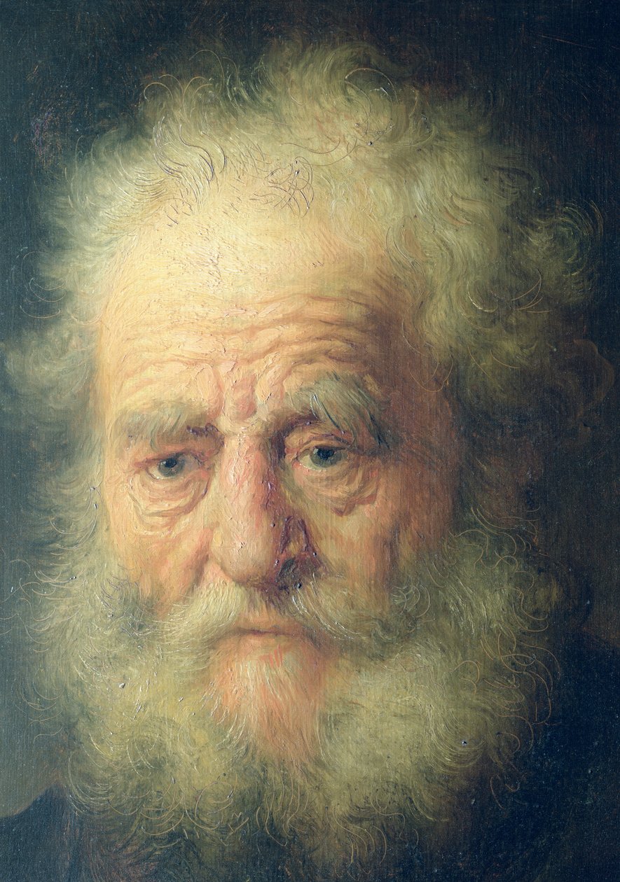 Buste af en gammel mand med en guldkæde (detaljer) af Rembrandt van Rijn