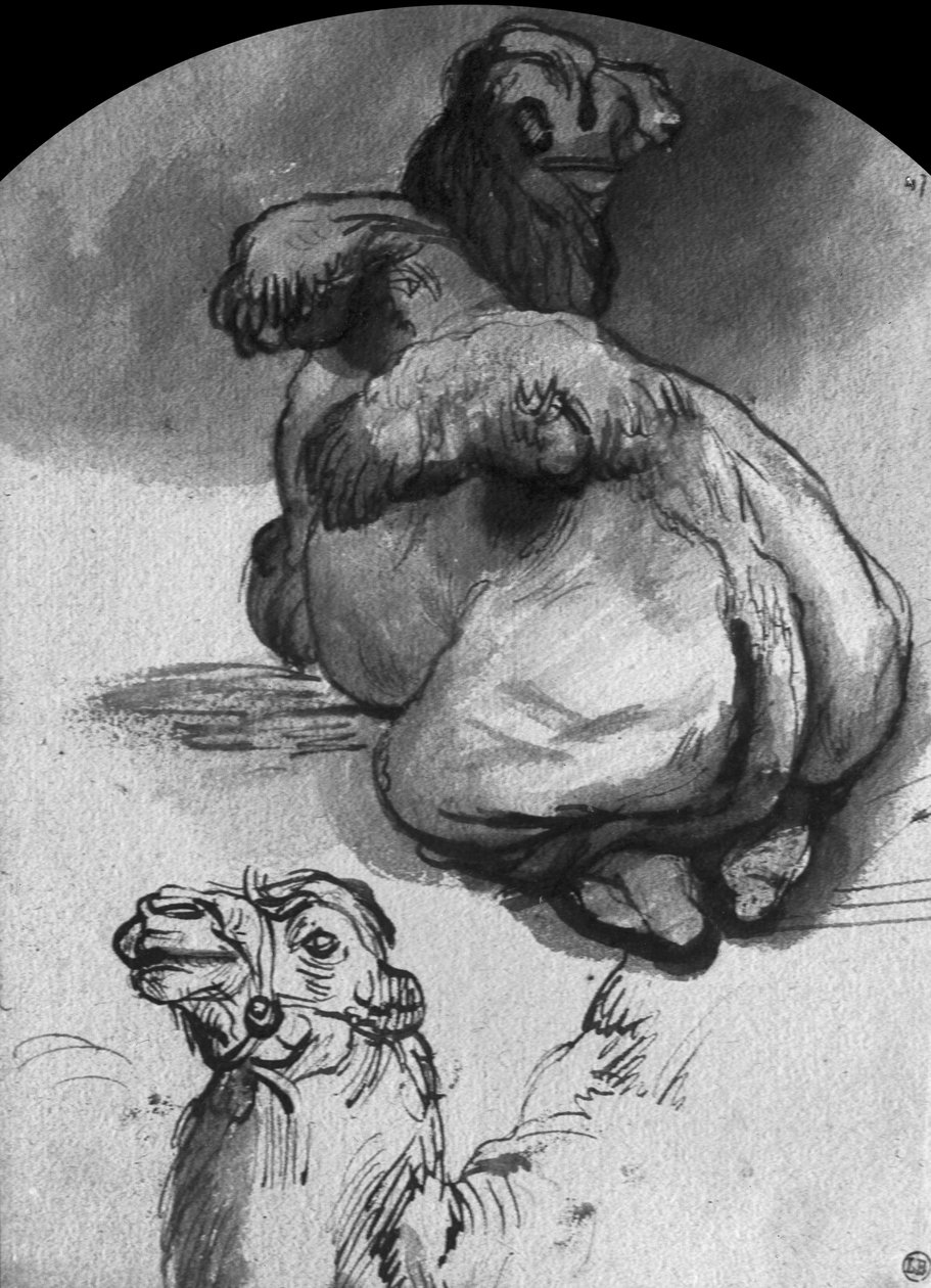 Kameler (pen og blæk og vask på papir) af Rembrandt van Rijn