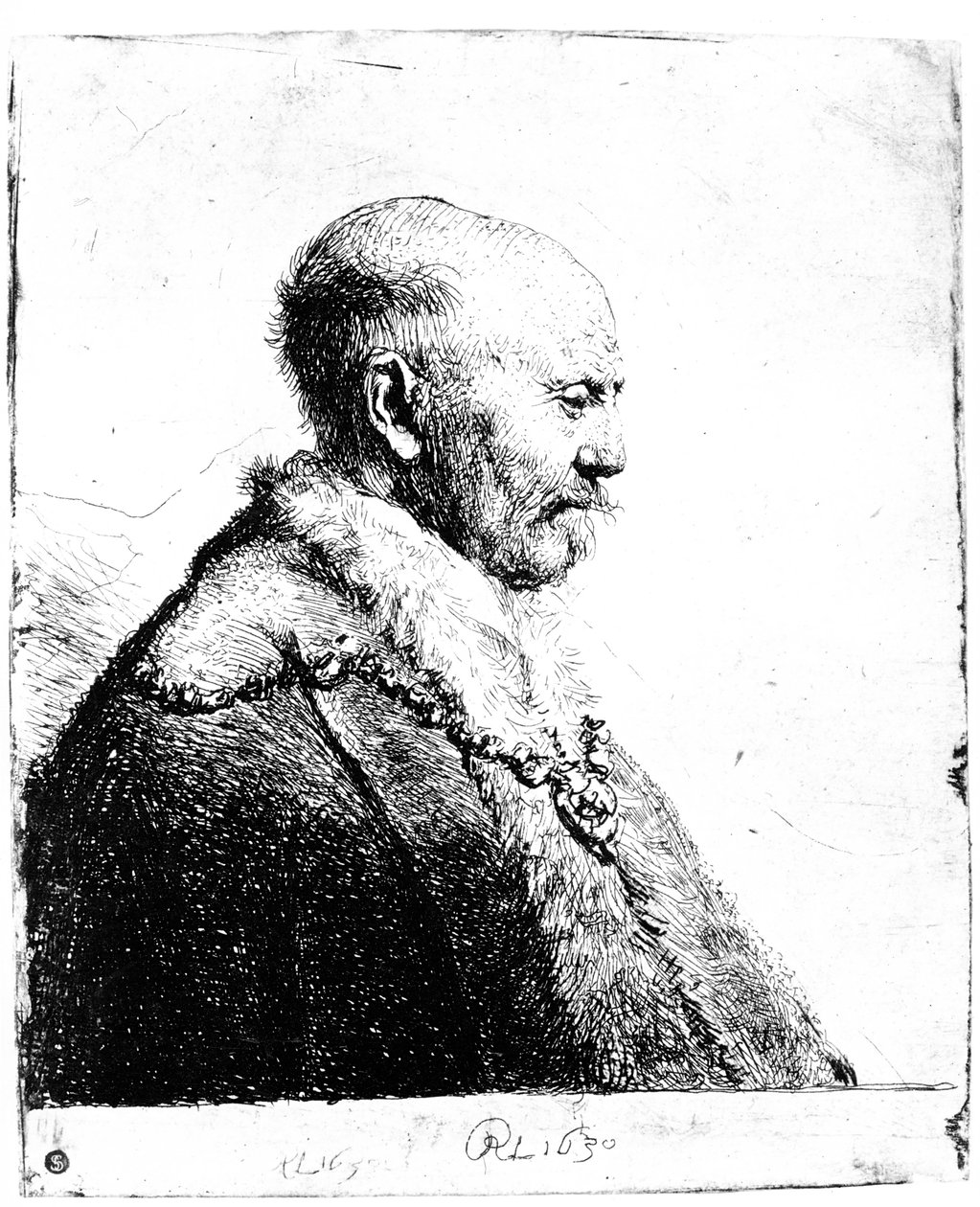 Portræt af en skaldet mand, 1630 af Rembrandt van Rijn