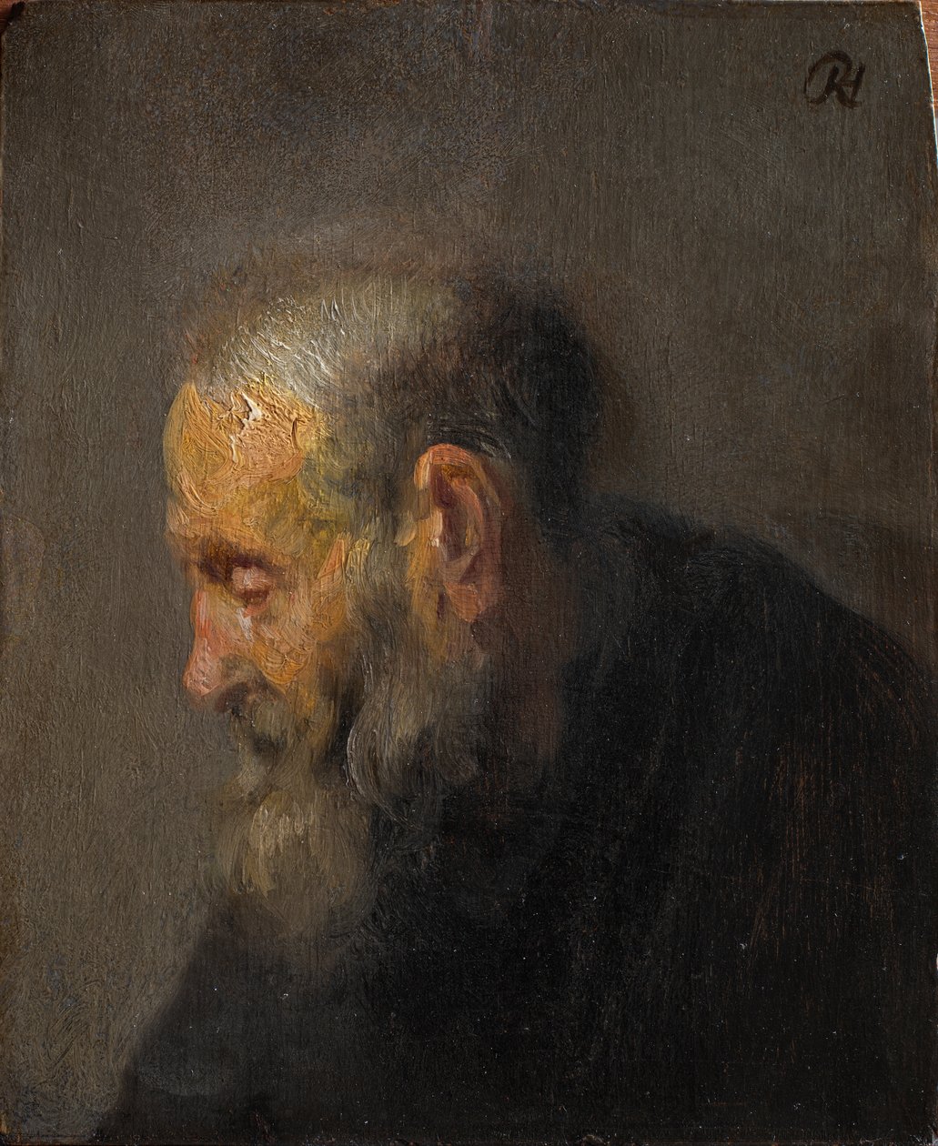 Studie af en gammel mand i profil af Rembrandt van Rijn