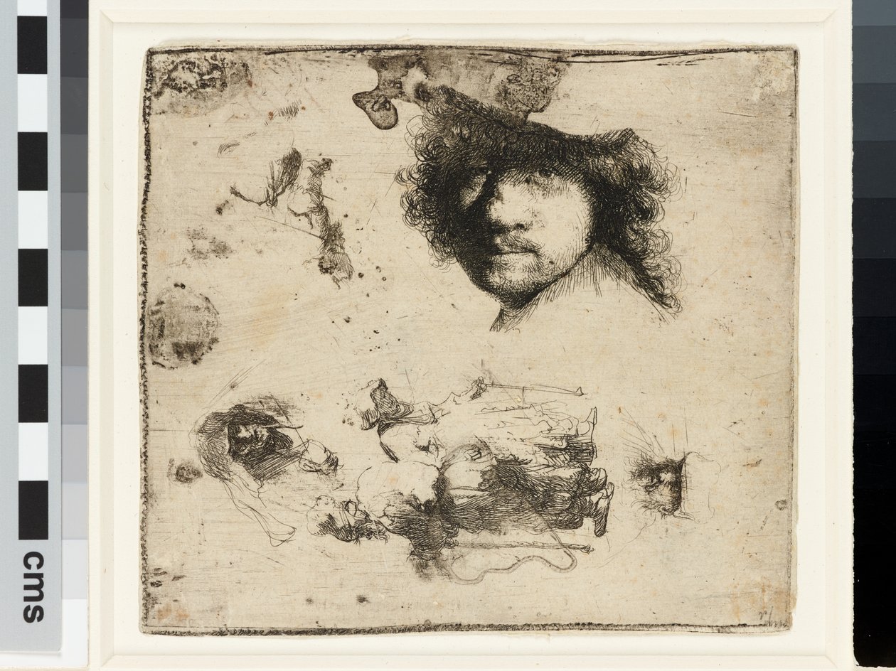 Ark med undersøgelser af Rembrandt van Rijn