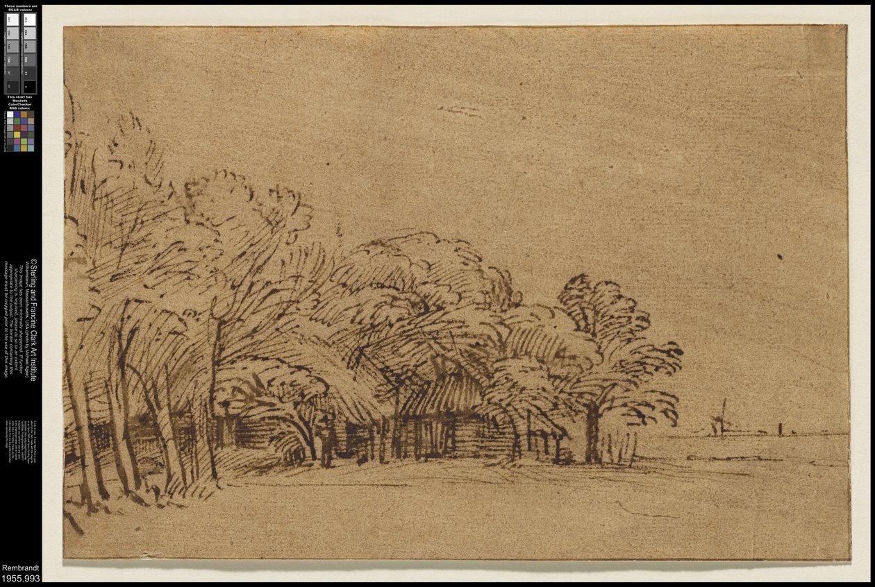 Gård under træer, c.1650 af Rembrandt van Rijn
