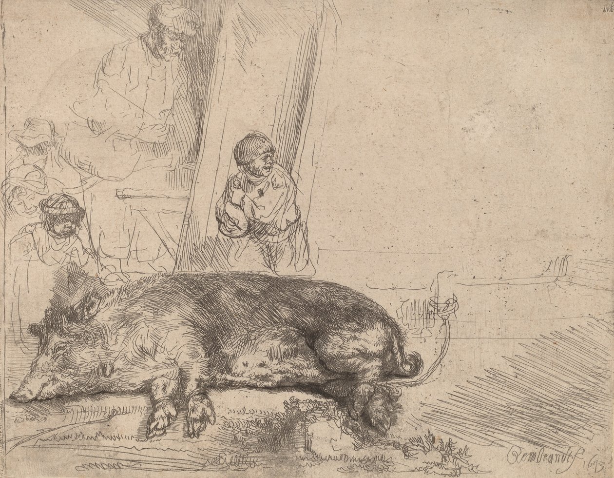 The Hog, 1643. af Rembrandt van Rijn