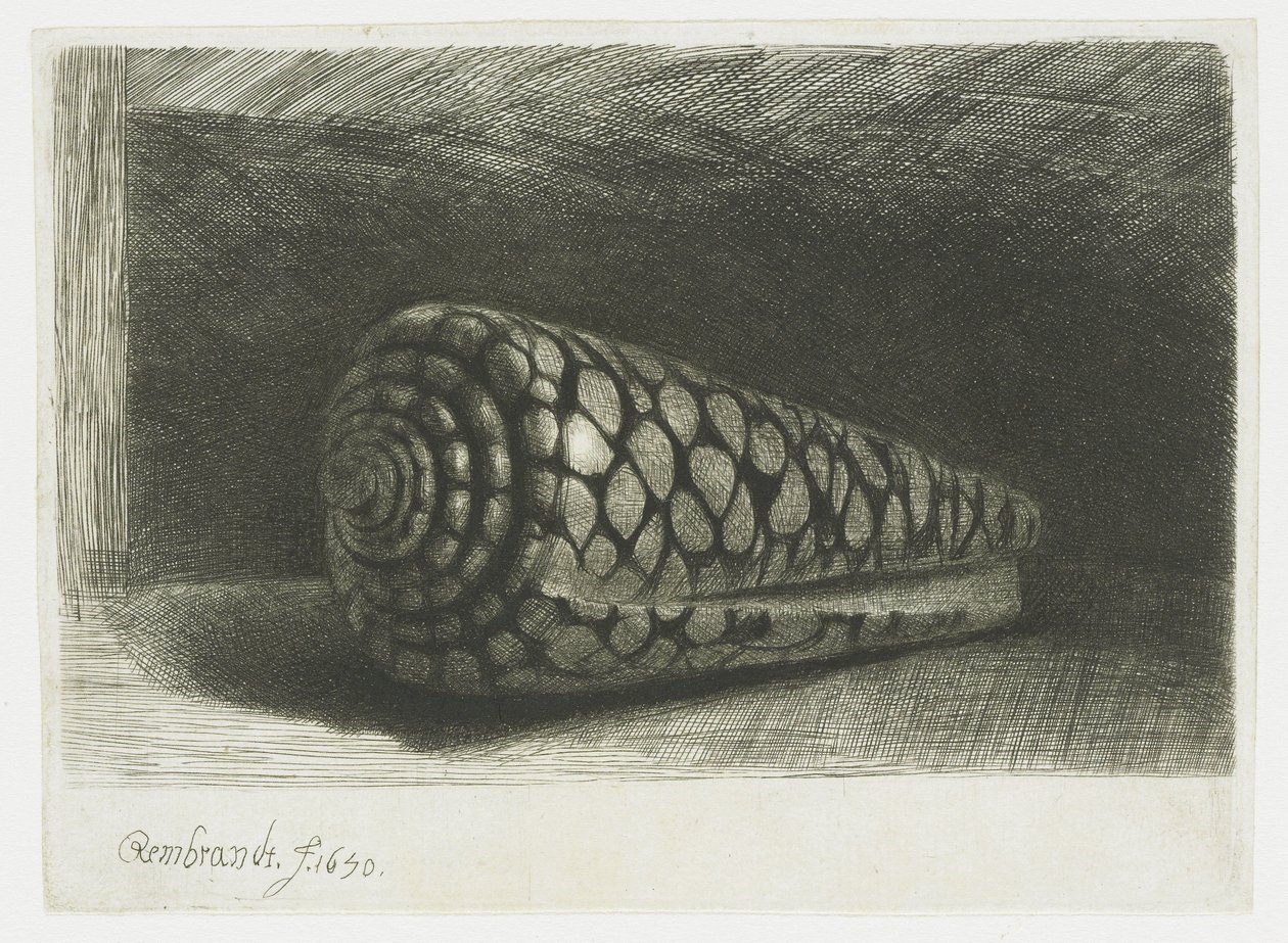 Skallen af Rembrandt van Rijn