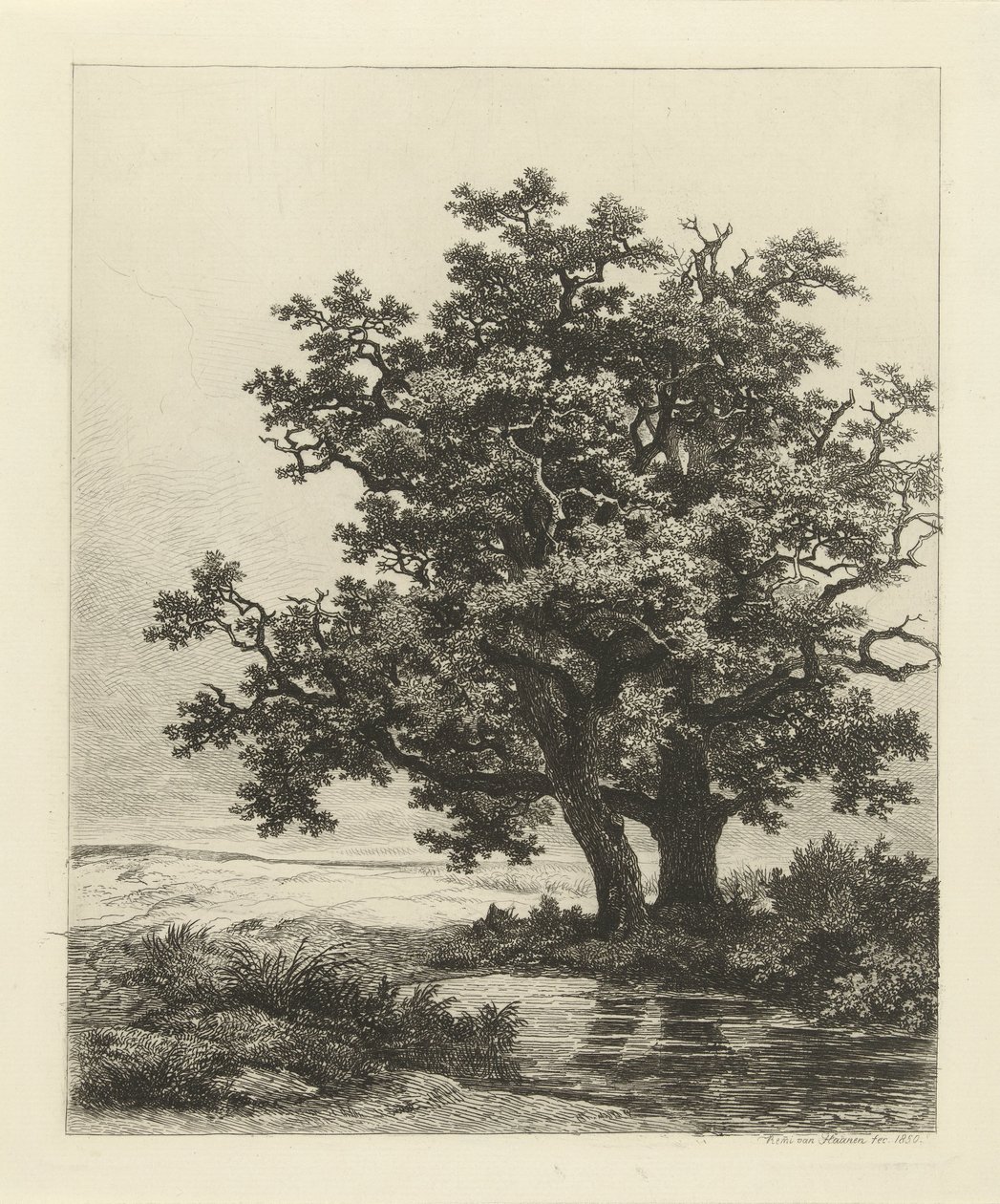 To ege på en sø af Remigius Adrianus Haanen