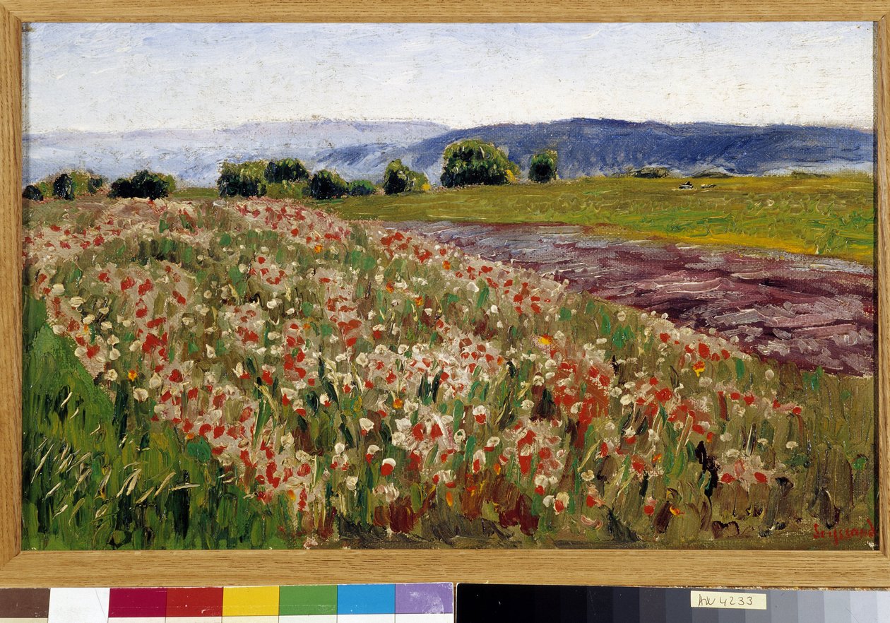 Valmuefeltet (maleri) af Rene Auguste Seyssaud