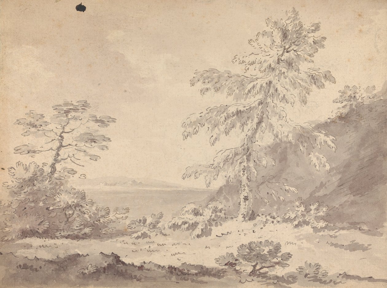 To træer i et landskab af Rev. William Gilpin
