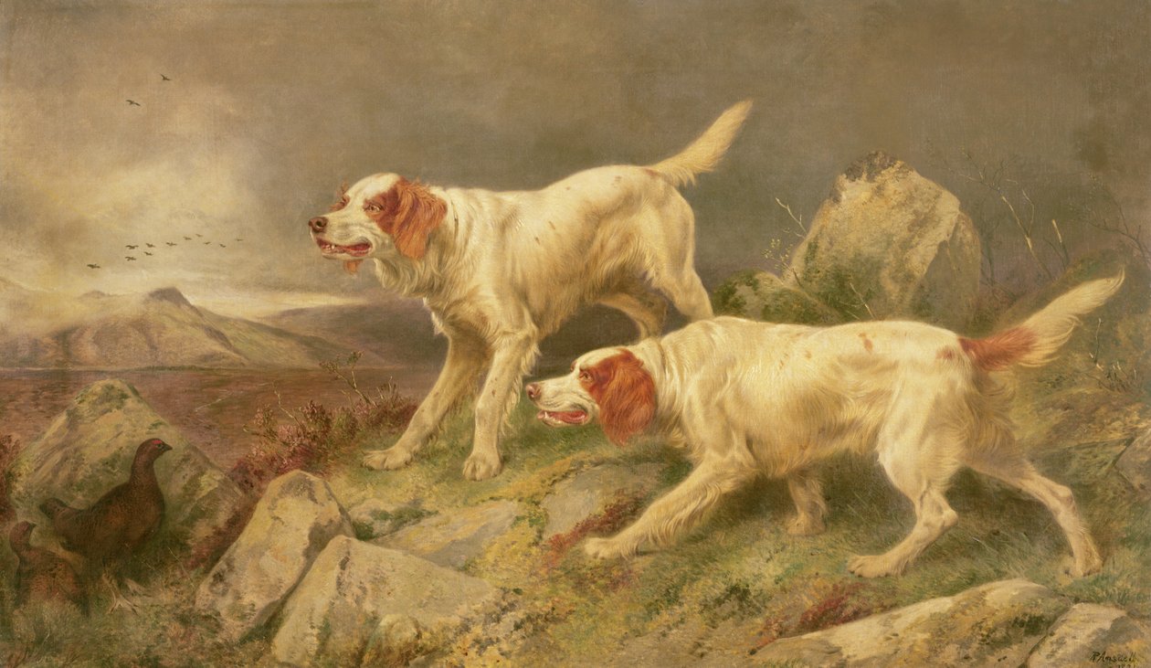 Pointer, der forstyrrer en rypeskinne af Richard Ansdell