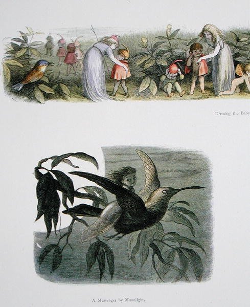 Dressing the Baby Elves, and A Messenger by Moonlight, illustrationer fra In Fairyland: A Series of Pictures from the Elf-World af William Allingham og Andrew Lang (se også 222021) af Richard Doyle