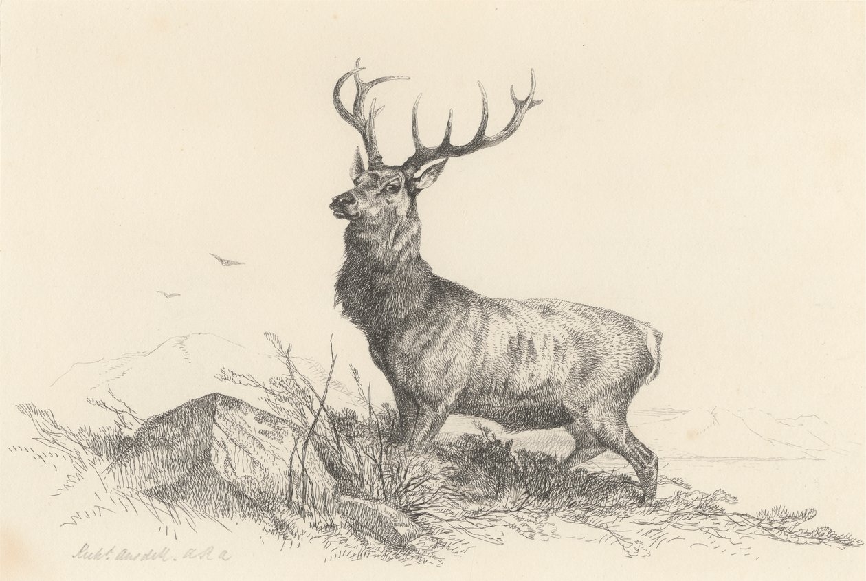 Sentinelen af Richard Ansdell
