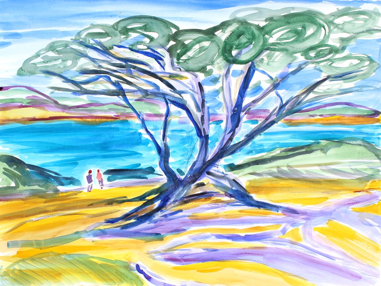 Cypress Tree, Carmel, 2019 af Richard Fox