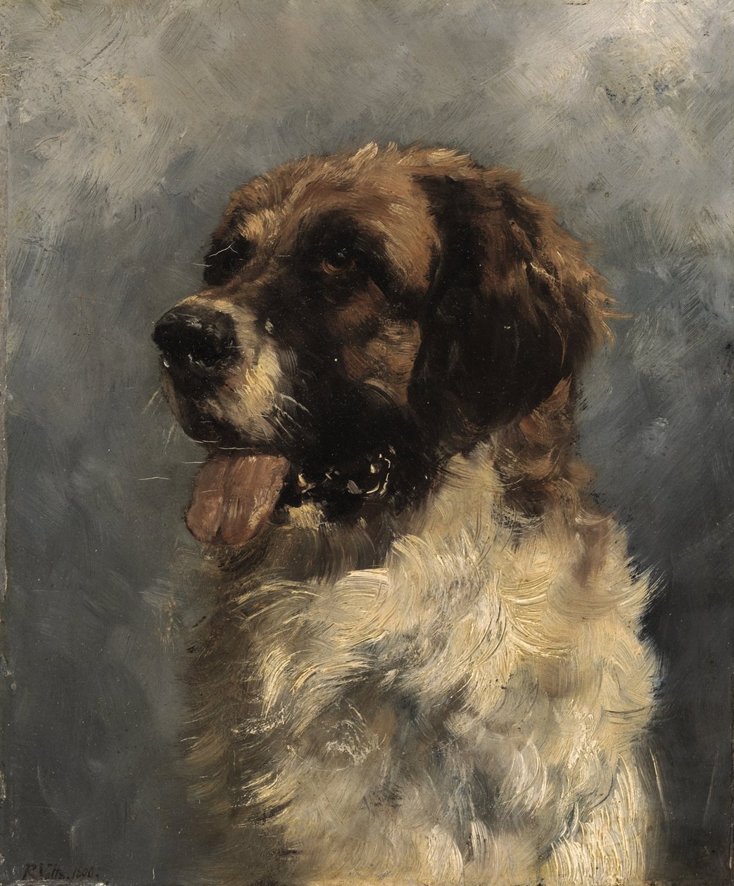 Bernhardiner Hund af Richard Voltz