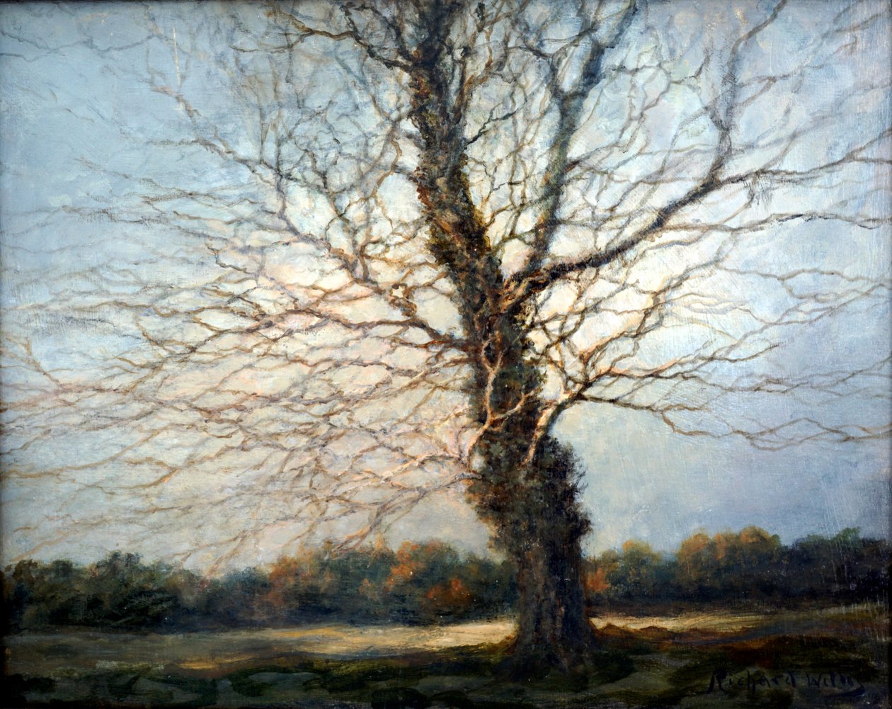 Solbelyst træ af Richard Willis