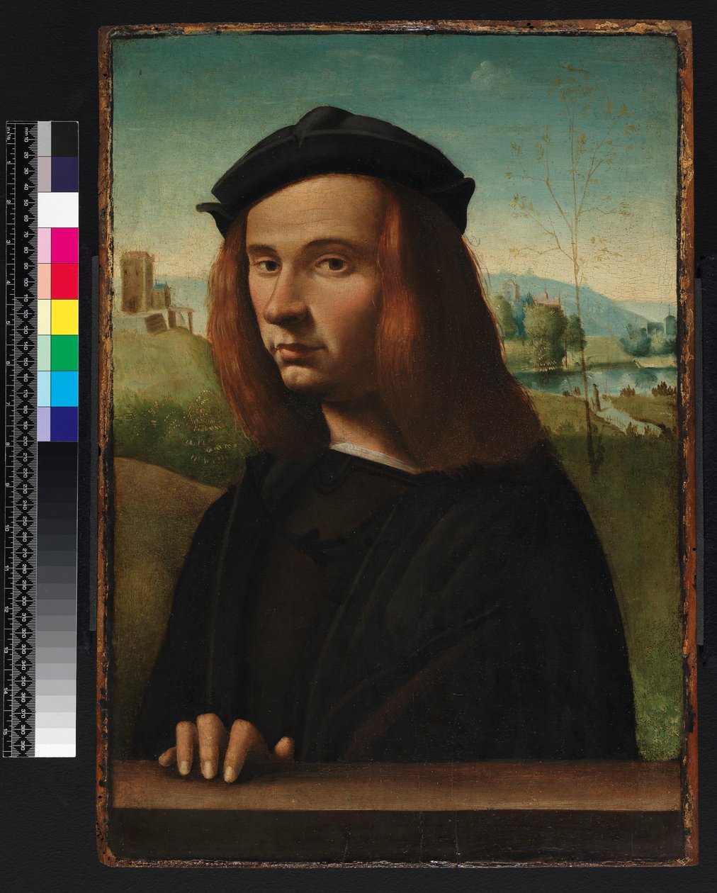 Portræt af en ung mand, 1500 af Ridolfo Ghirlandaio