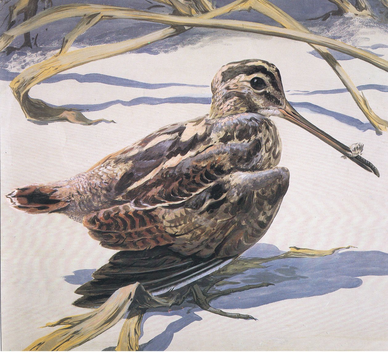 Snipe af Robert George Talbot Kelly
