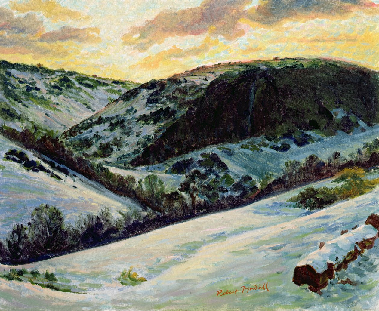 The Devils Dyke in Winter, 1996 af Robert Tyndall