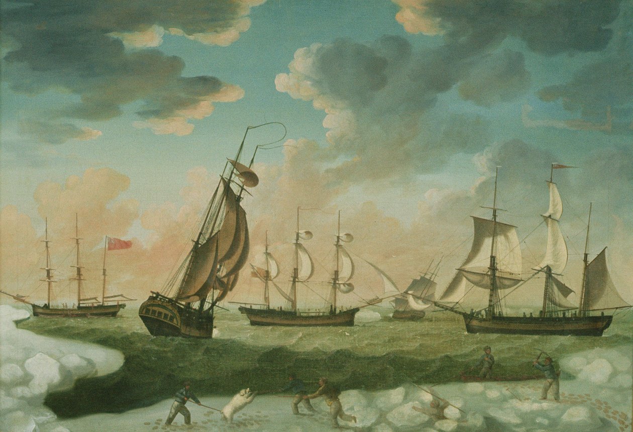 Arktisk Scene af Robert Willoughby