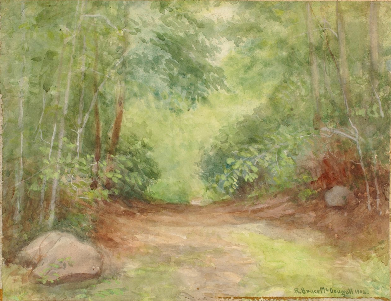 Uden titel Skovscene, 1902. af Robert Bruce McDougall