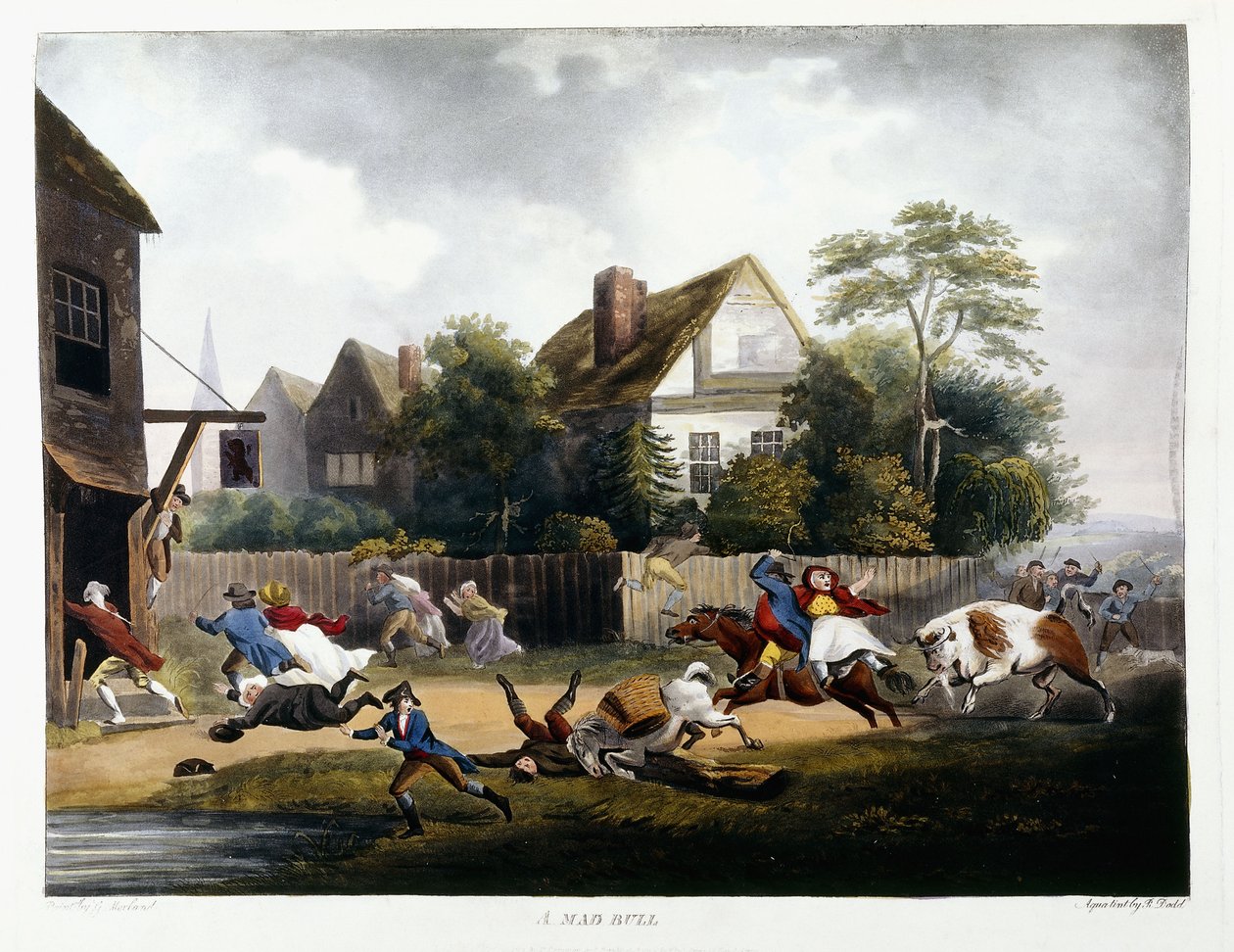 En gal Tyr, 1806 af Robert Dodd
