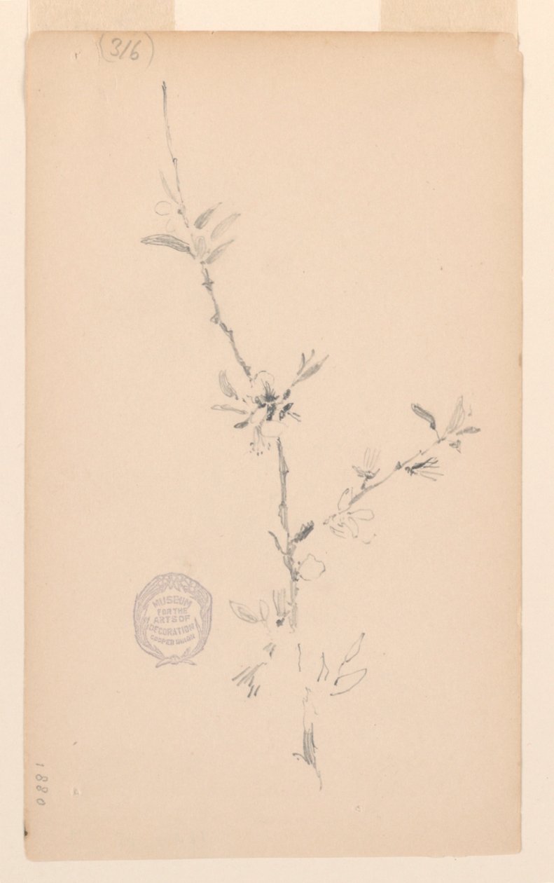 Bough af Robert Frederick Blum