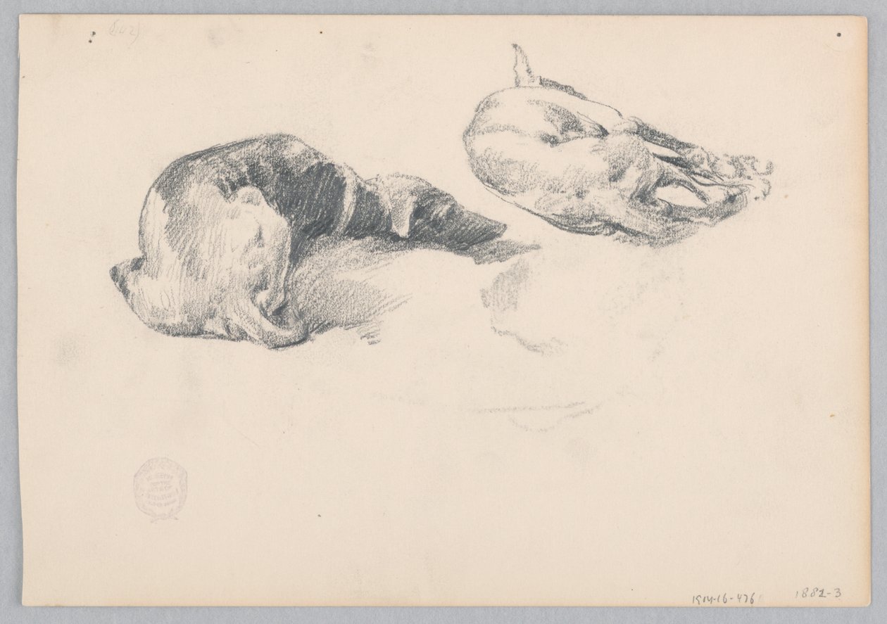 Hunde af Robert Frederick Blum
