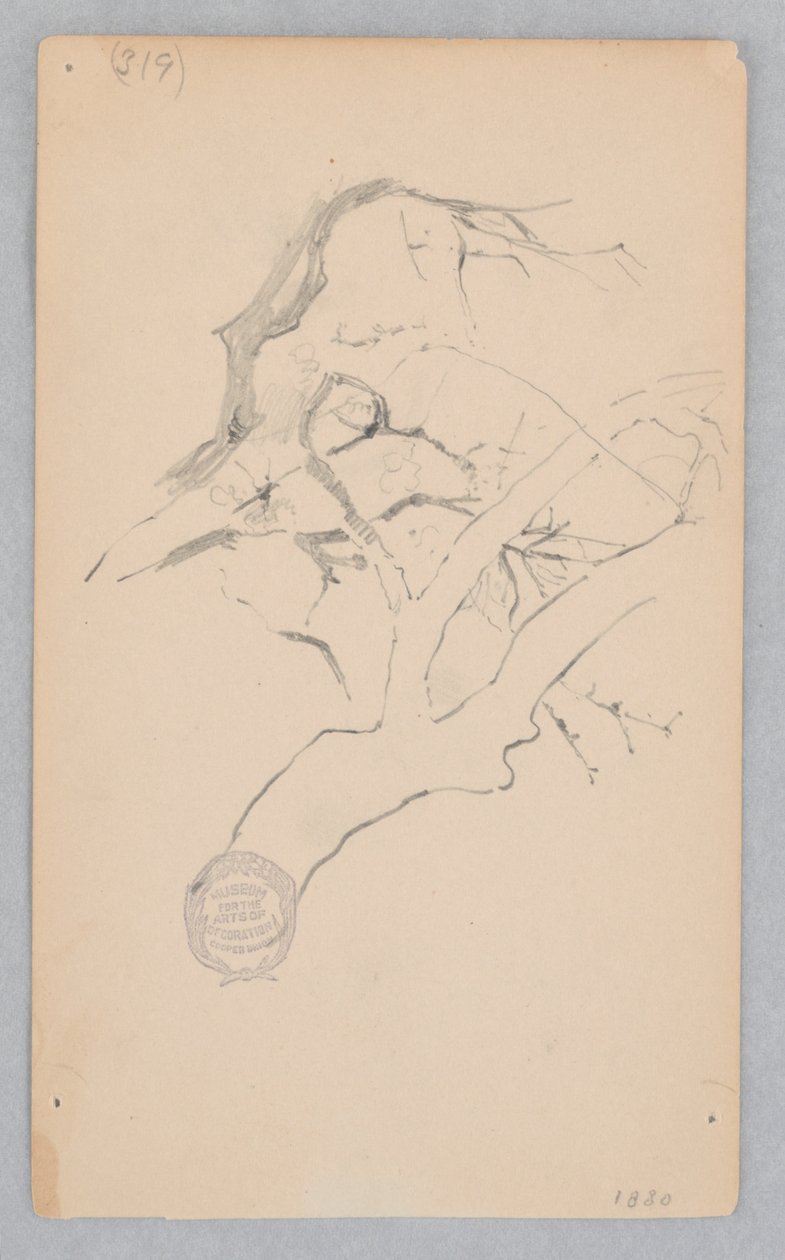 Trægren af Robert Frederick Blum