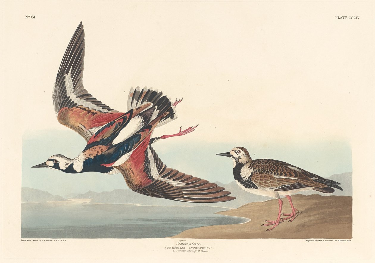 Drejesten, 1836. af Robert Havell