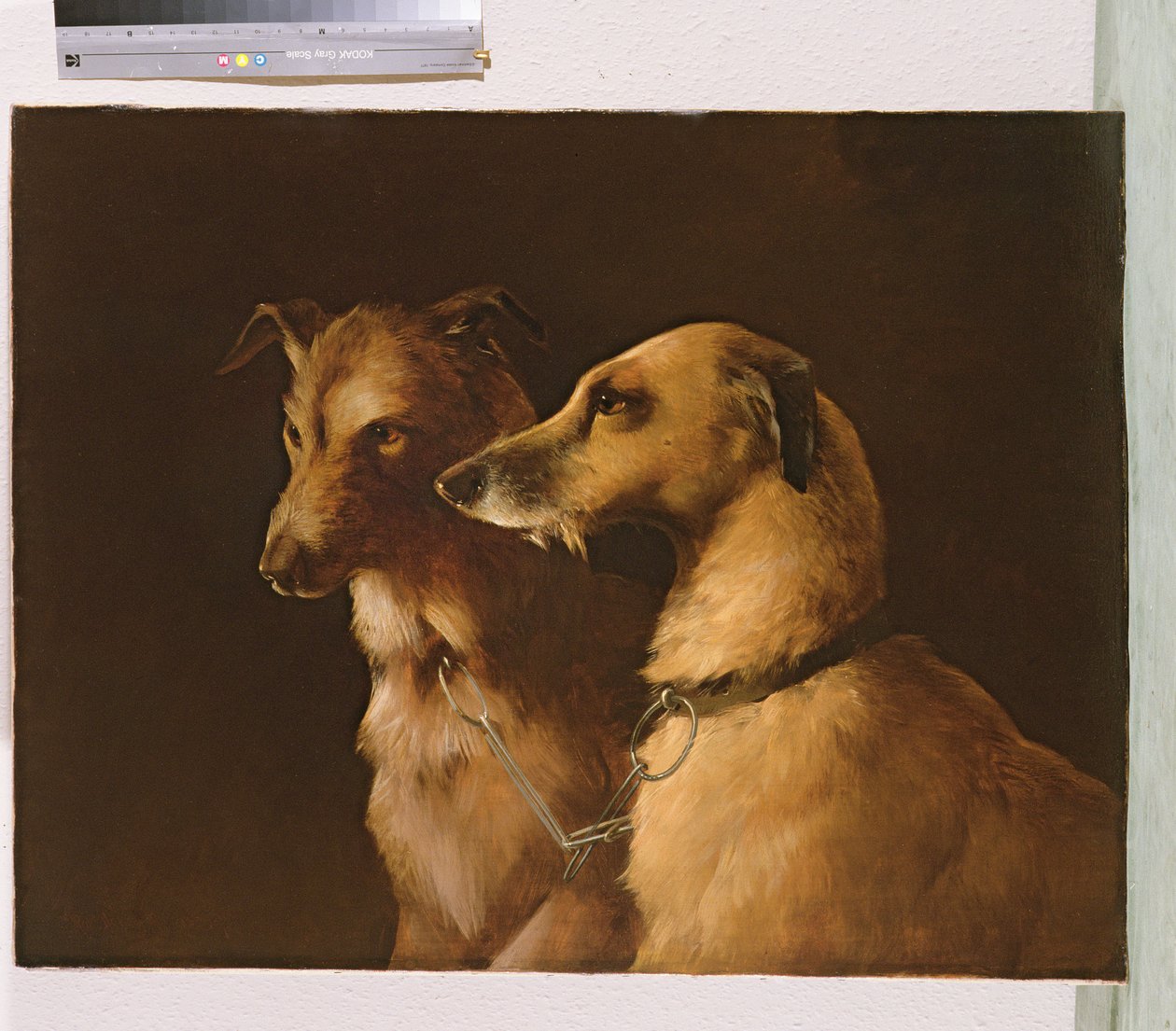 Hjortehunde af Robert Henry Roe