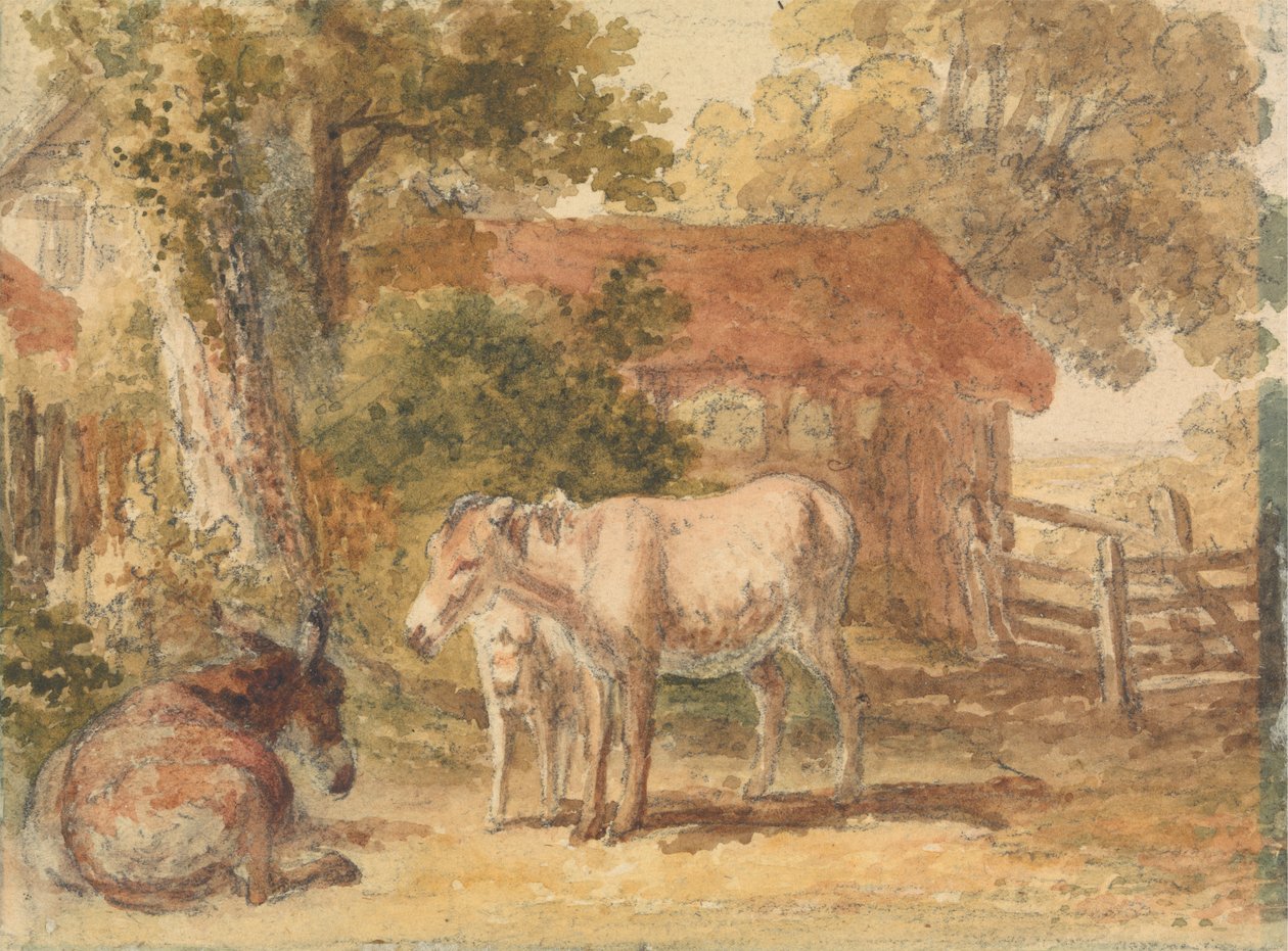 Tre æsler af Robert Hills