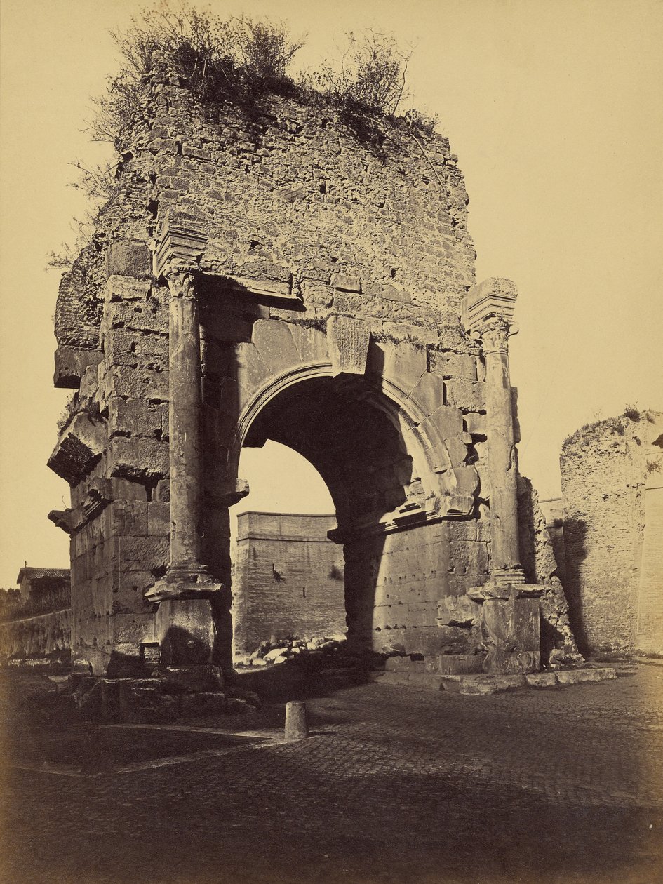 [Drusus
