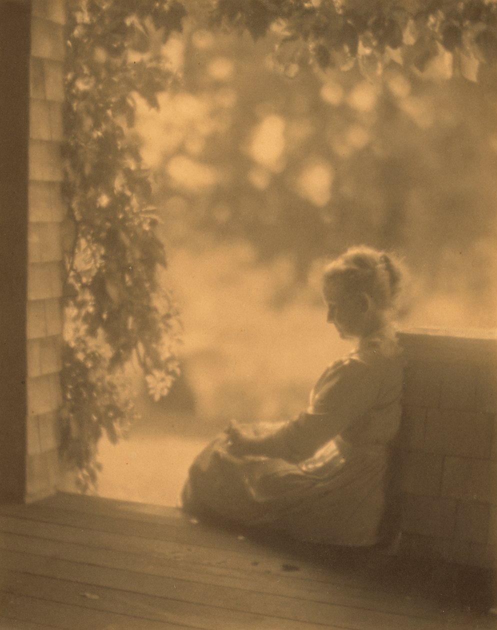 September Sun af Dwight A. Davis af Robert Peckham