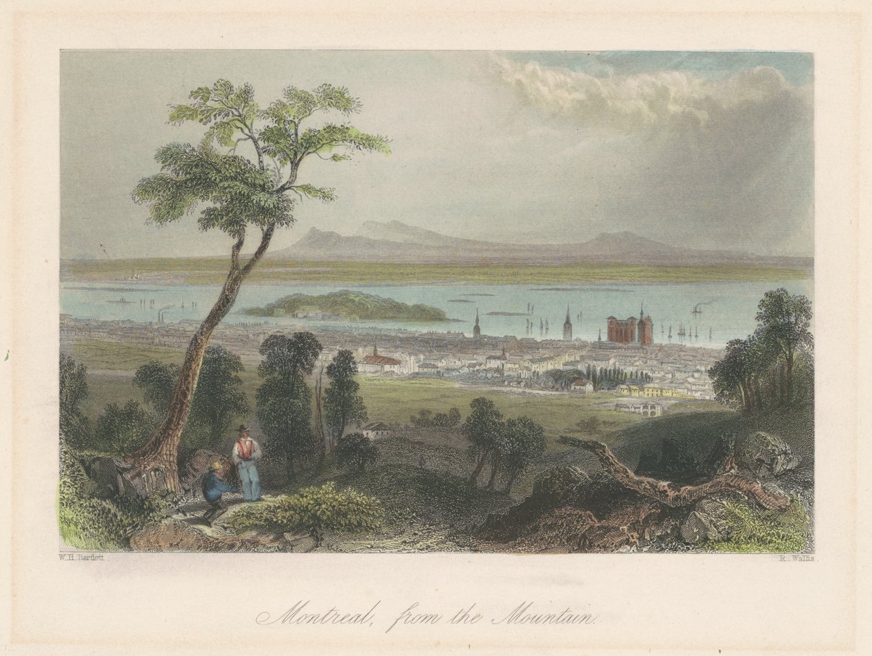 Montreal, fra bjerget af Robert Wallis