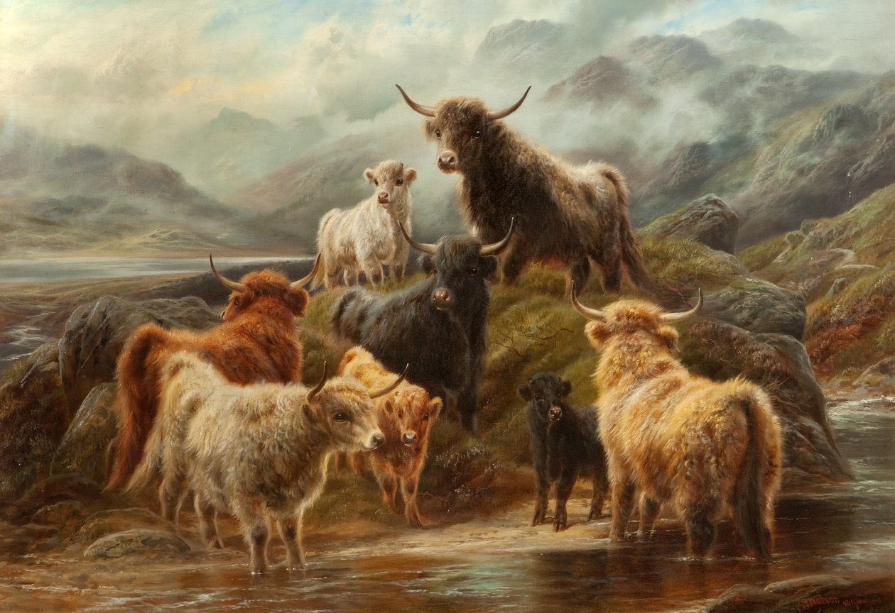 Highland Cattle, 1894 af Robert Watson