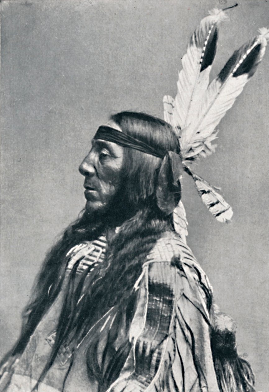Profilbillede af en Sioux, 1912 af Robert Wilson Shufeldt