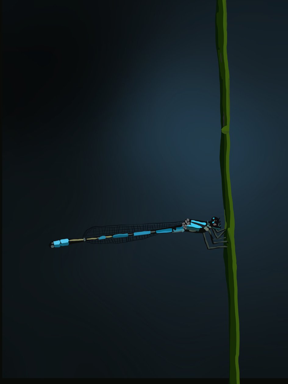 Damselfly, 2022 (digital) af Roberta Murray