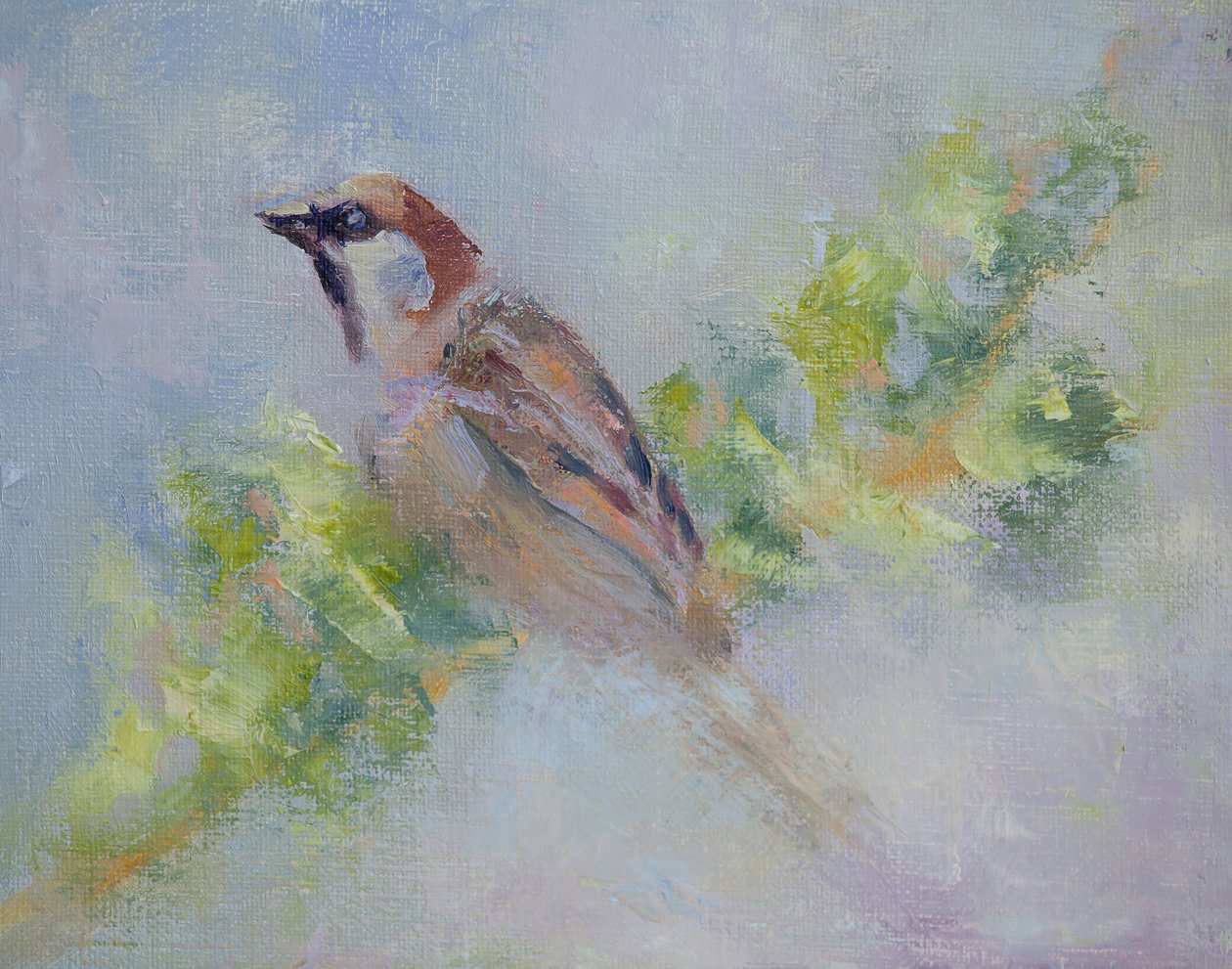 P. Domesticus, 2014 (olie på lærred) af Roberta Murray