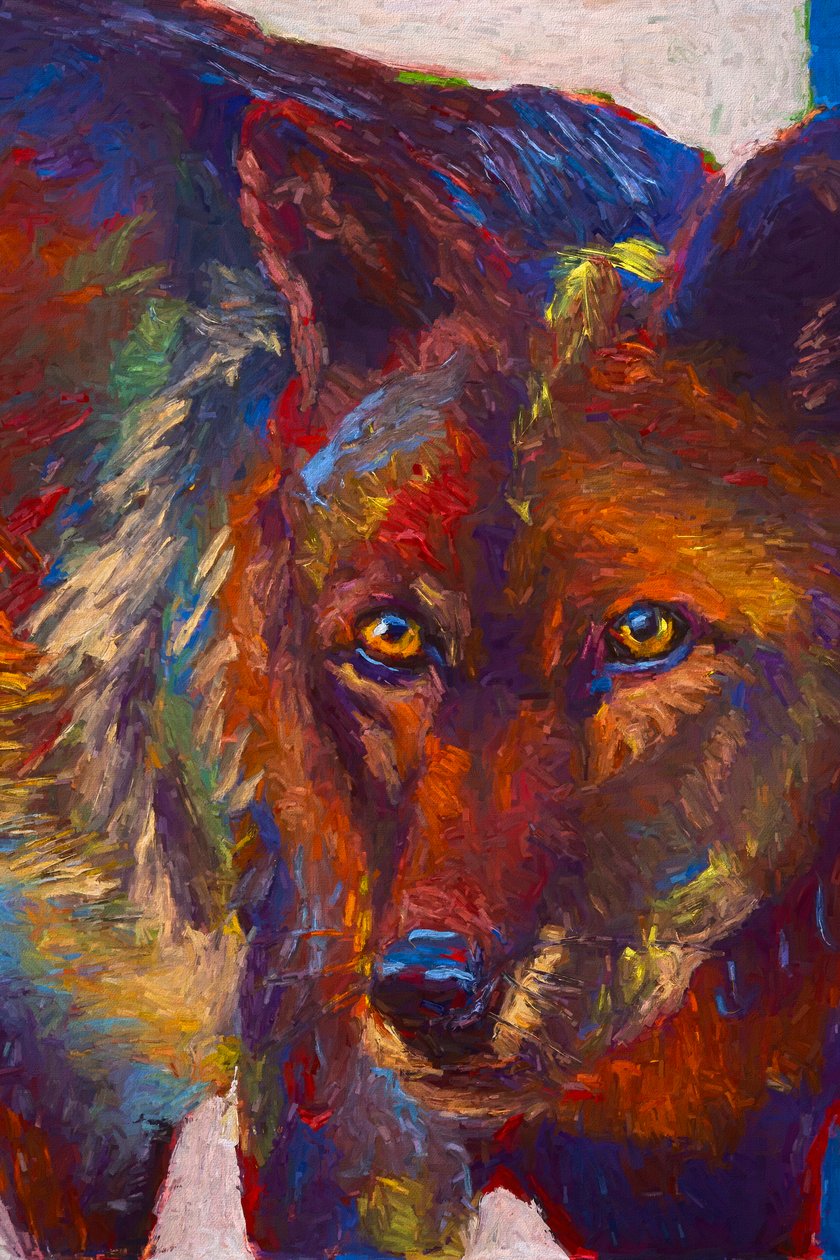 Stare Down, 2019 (olie på panel) af Roberta Murray