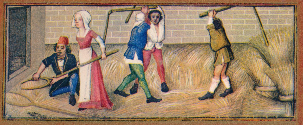 juli - tærskning, 1400-tallet, 1939. af Robinet Testard