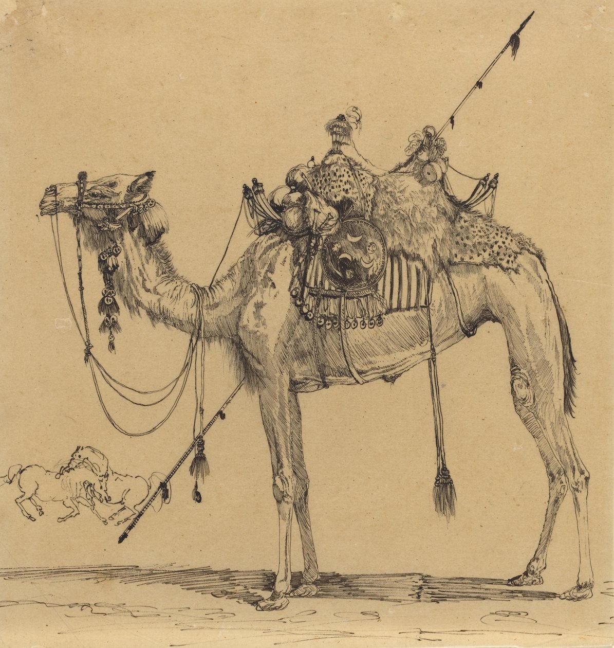 The Camel (pen og blæk) af Rodolphe Bresdin