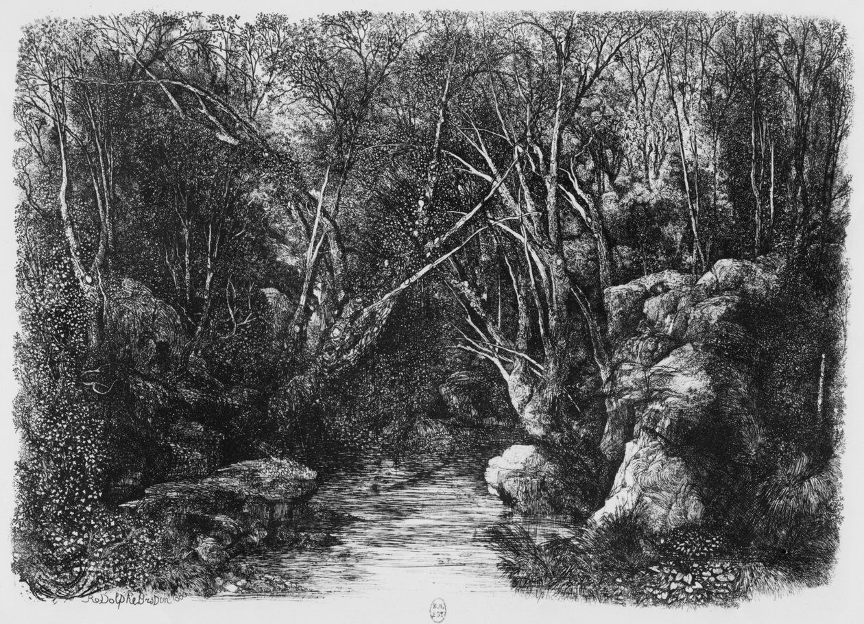 Strømmen gennem træerne, 1880 af Rodolphe Bresdin