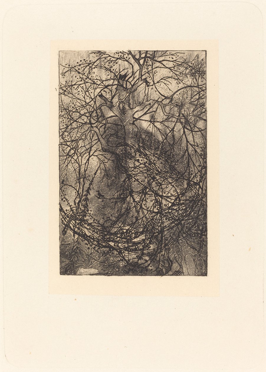 Grene af Rodolphe Bresdin